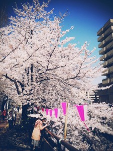 写真 2015-03-31 10 28 39