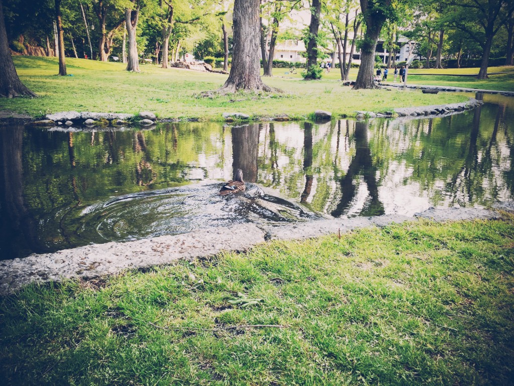 写真 2015-05-24 16 47 58